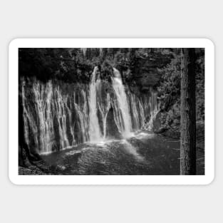 McArthur-Burney Falls in Black and White Sticker